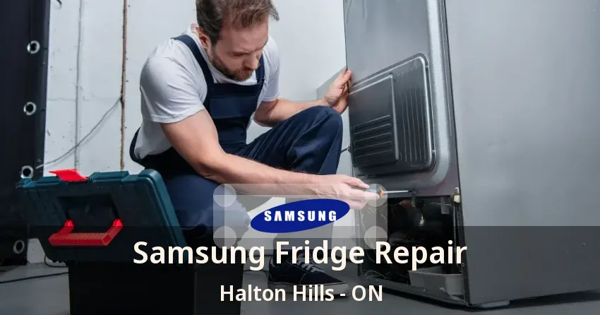 Samsung Fridge Repair Halton Hills - ON