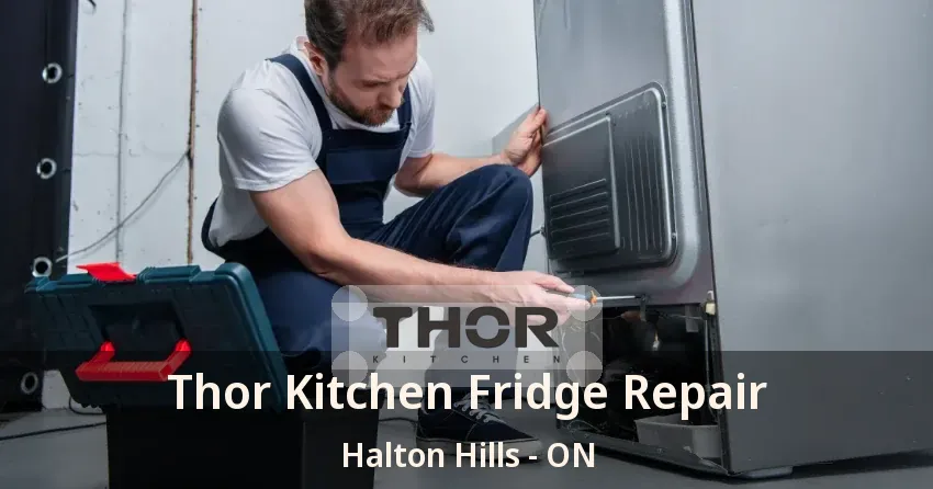 Thor Kitchen Fridge Repair Halton Hills - ON