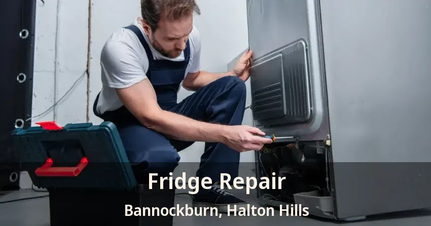 Fridge Repair Bannockburn, Halton Hills - ON