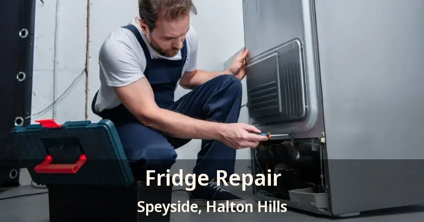 Fridge Repair Speyside, Halton Hills - ON