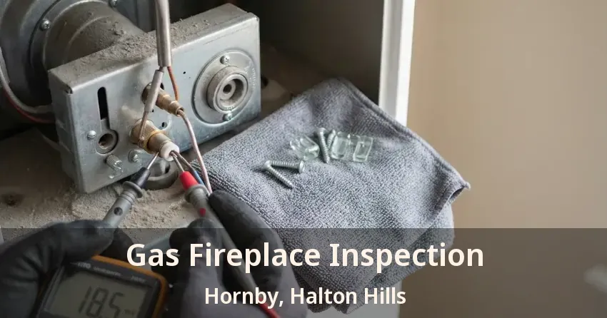 Gas Fireplace Inspection Hornby, Halton Hills - ON