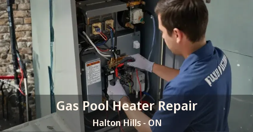 Gas Pool Heater Repair Halton Hills - ON