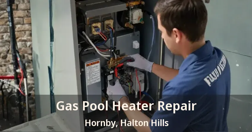 Gas Pool Heater Repair Hornby, Halton Hills - ON