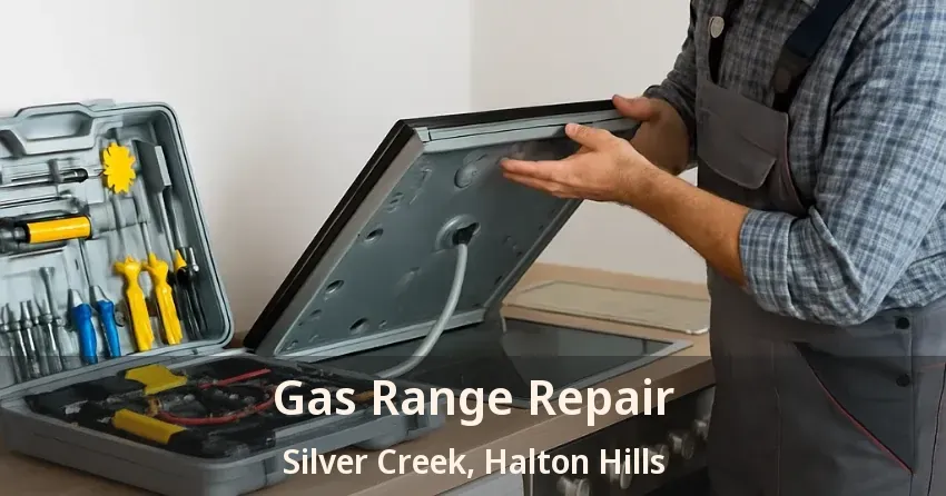Gas Range Repair Silver Creek, Halton Hills - ON