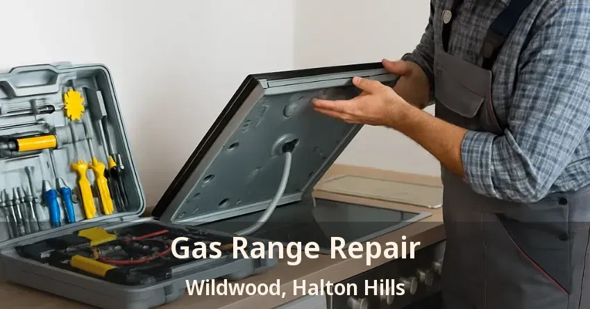 Gas Range Repair Wildwood, Halton Hills - ON