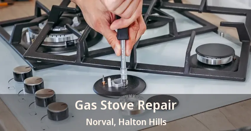 Gas Stove Repair Norval, Halton Hills - ON