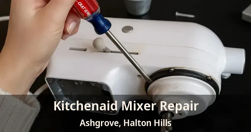 Kitchenaid Mixer Repair Ashgrove, Halton Hills - ON