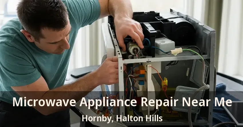 Microwave Appliance Repair Near Me Hornby, Halton Hills - ON