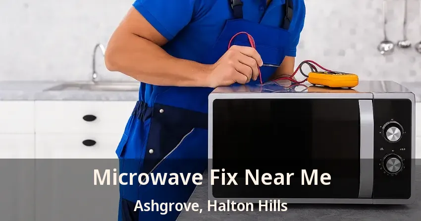 Microwave Fix Near Me Ashgrove, Halton Hills - ON