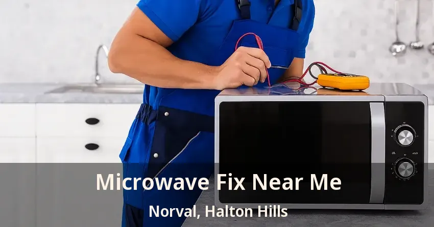 Microwave Fix Near Me Norval, Halton Hills - ON