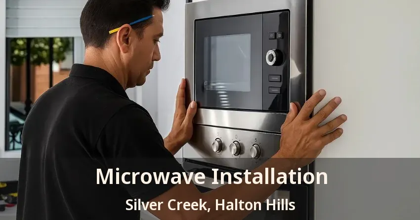 Microwave Installation Silver Creek, Halton Hills - ON