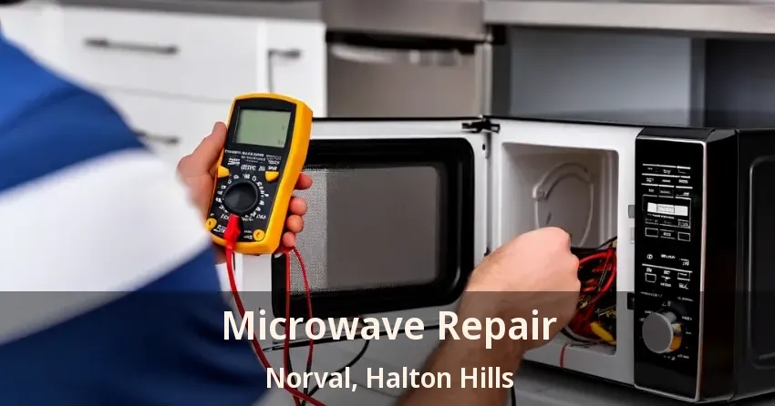 Microwave Repair Norval, Halton Hills - ON