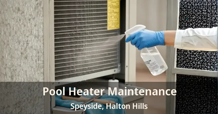 Pool Heater Maintenance Speyside, Halton Hills - ON