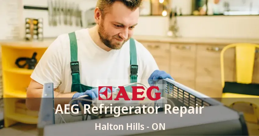 AEG Refrigerator Repair Halton Hills - ON