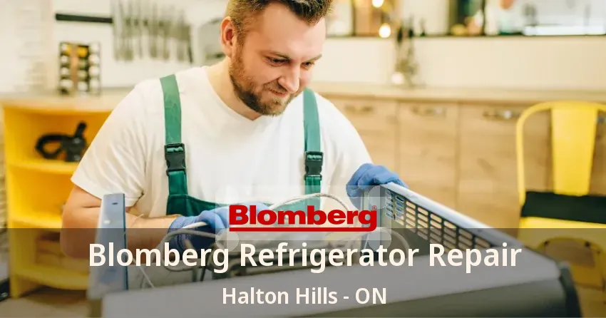 Blomberg Refrigerator Repair Halton Hills - ON
