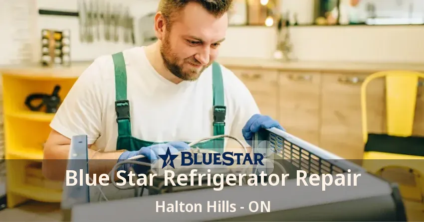 Blue Star Refrigerator Repair Halton Hills - ON