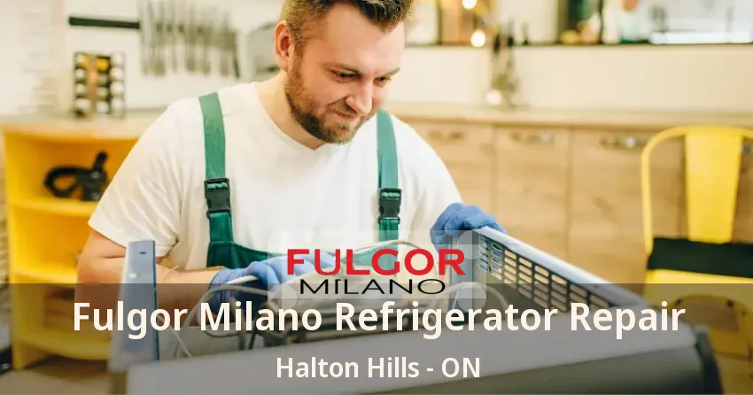 Fulgor Milano Refrigerator Repair Halton Hills - ON