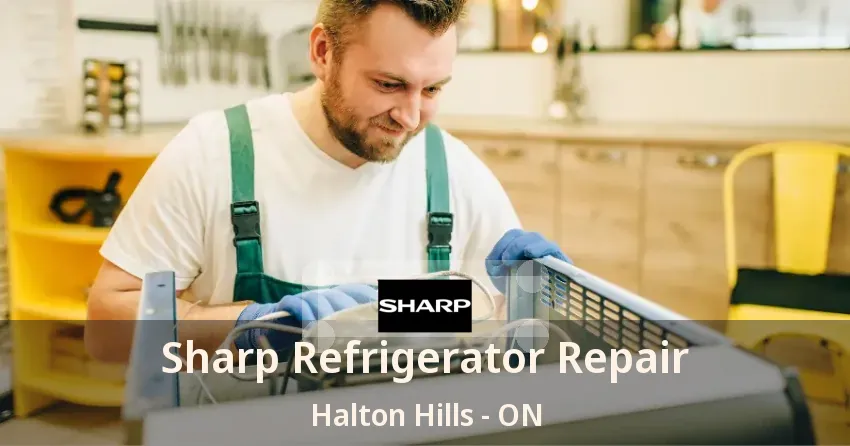 Sharp Refrigerator Repair Halton Hills - ON