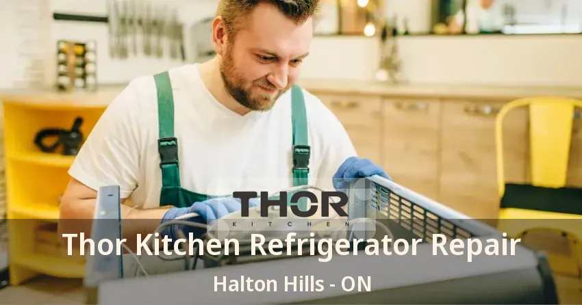 Thor Kitchen Refrigerator Repair Halton Hills - ON