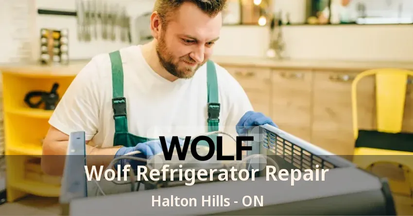 Wolf Refrigerator Repair Halton Hills - ON