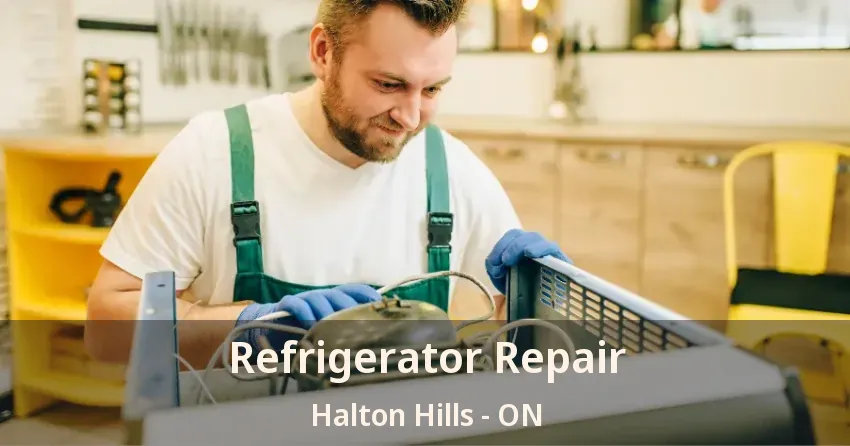 Refrigerator Repair Halton Hills - ON
