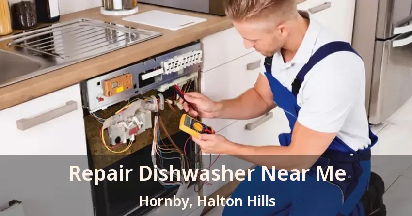 Repair Dishwasher Near Me Hornby, Halton Hills - ON