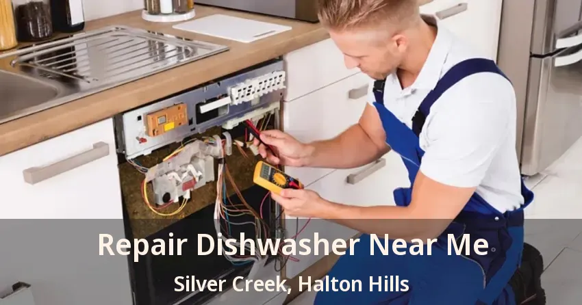 Repair Dishwasher Near Me Silver Creek, Halton Hills - ON