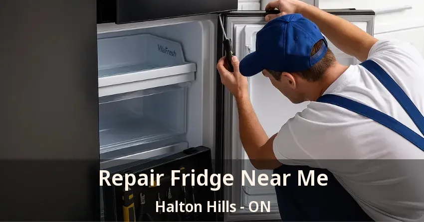 Repair Fridge Near Me Halton Hills - ON