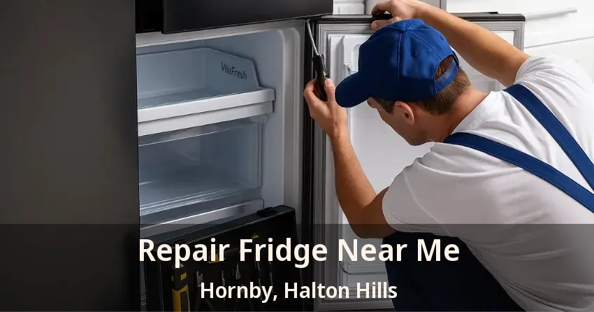 Repair Fridge Near Me Hornby, Halton Hills - ON
