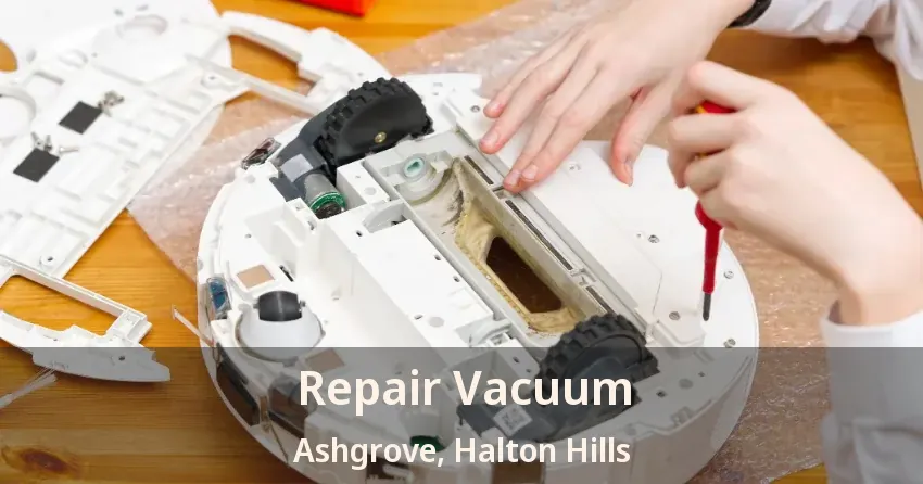Repair Vacuum Ashgrove, Halton Hills - ON