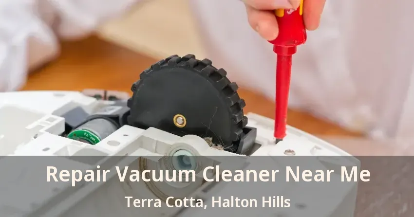 Repair Vacuum Cleaner Near Me Terra Cotta, Halton Hills - ON