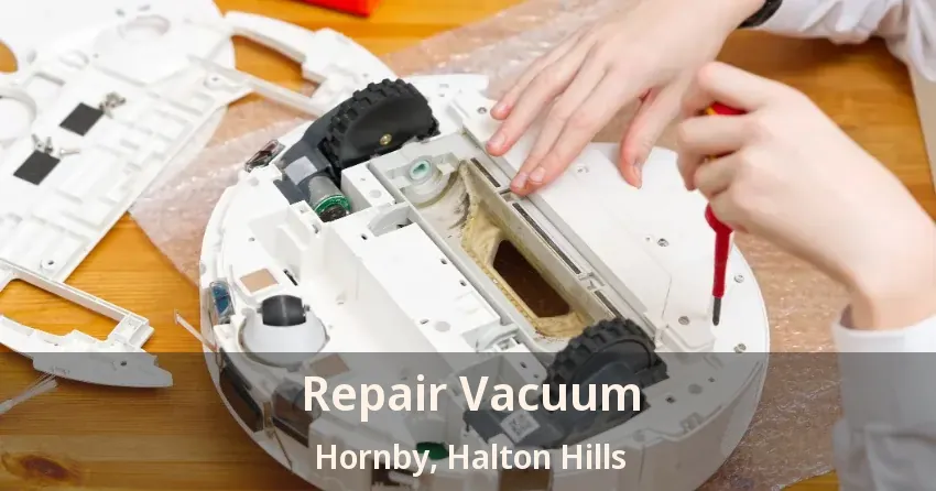 Repair Vacuum Hornby, Halton Hills - ON