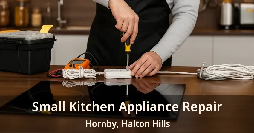 Small Kitchen Appliance Repair Hornby, Halton Hills - ON