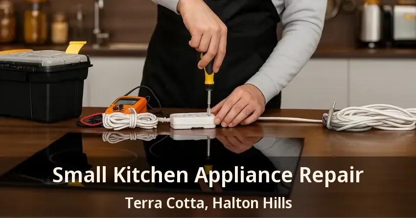 Small Kitchen Appliance Repair Terra Cotta, Halton Hills - ON