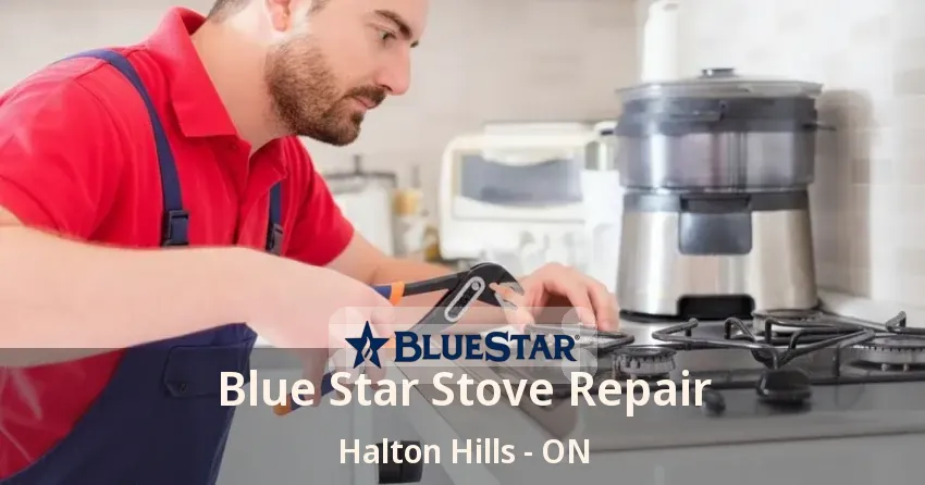 Blue Star Stove Repair Halton Hills - ON