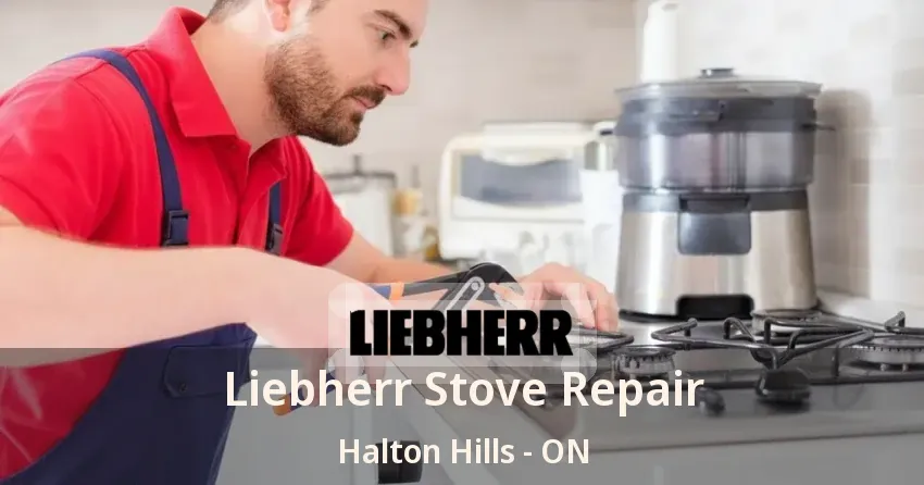 Liebherr Stove Repair Halton Hills - ON
