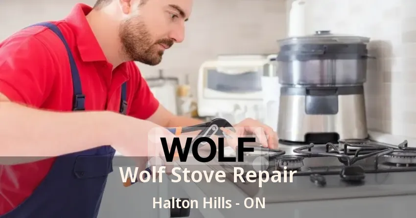 Wolf Stove Repair Halton Hills - ON