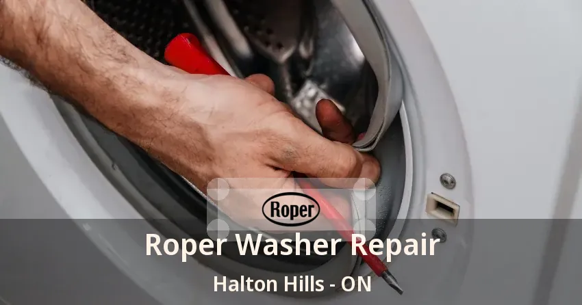 Roper Washer Repair Halton Hills - ON