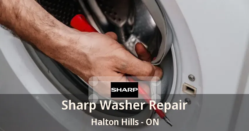 Sharp Washer Repair Halton Hills - ON