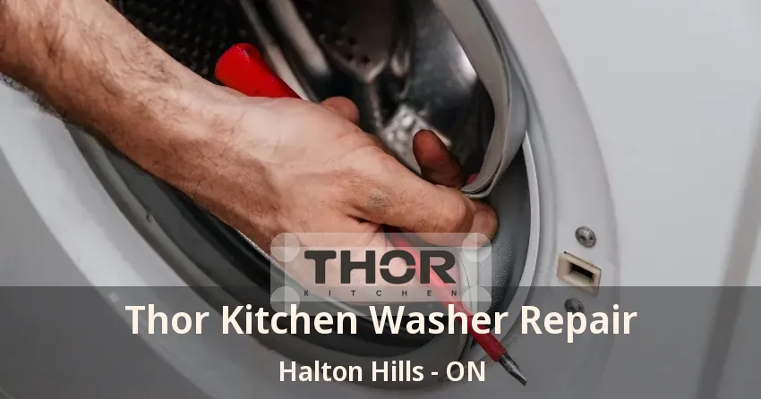 Thor Kitchen Washer Repair Halton Hills - ON